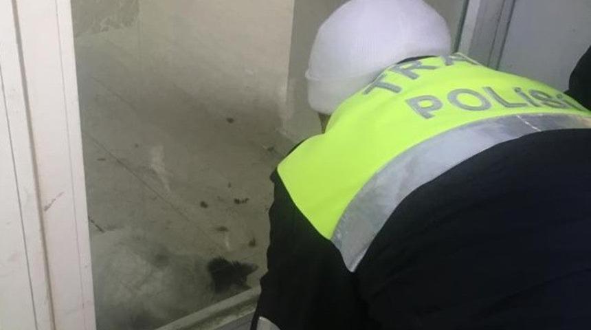 Polisler mahsur kalan yavru kediyi besledi