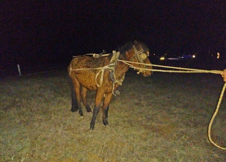 Kütahya'da otomobilin çarptığı at arabasının sürücüsü öldü G3
