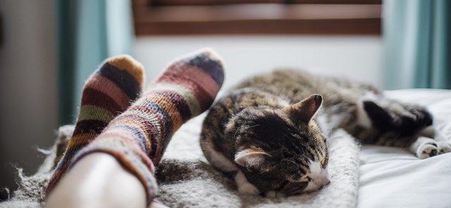 Cat on a bed, asleep at the feet (with colourful stripy socks) of a person