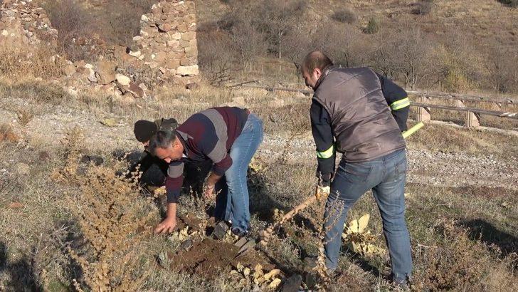 Lavanta balı yeni gelir kapısı oldu: kilosu 150 lira G4