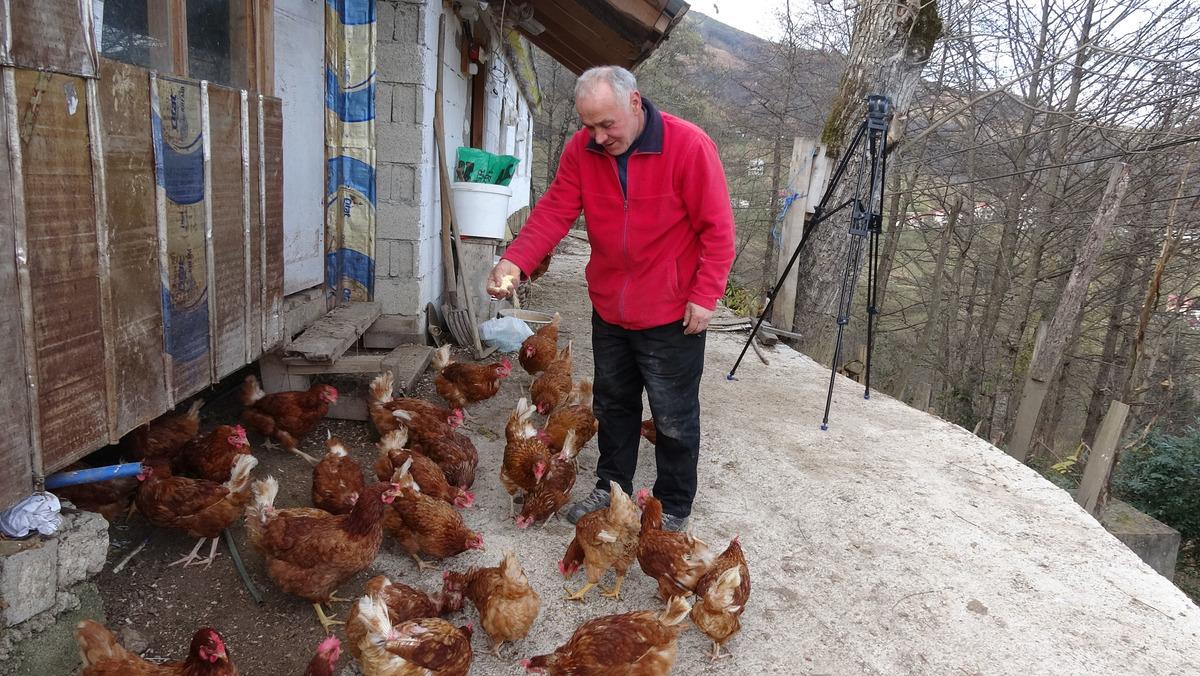 M&uuml;hendisliği bıraktı, tavuk &ccedil;iftliği kurdu