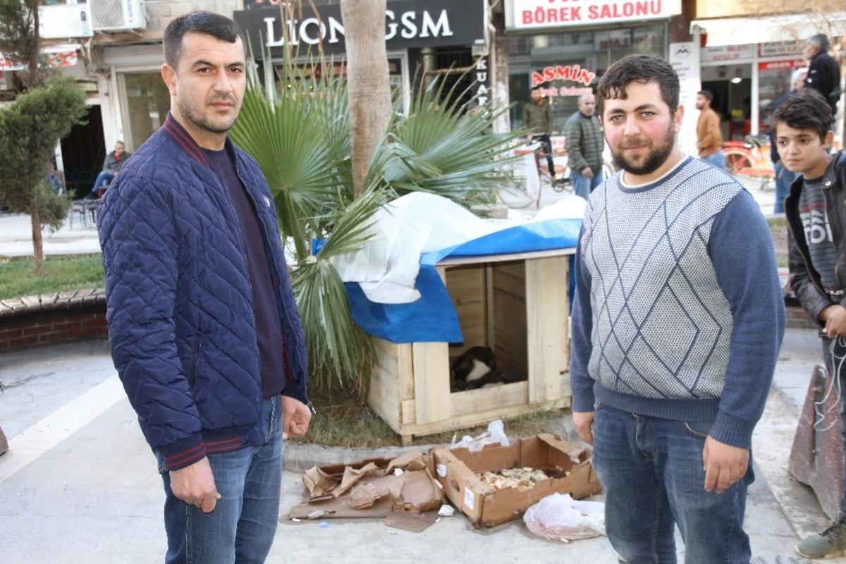 Soğuktan etkilenen sokak k&ouml;peği ve yavruları i&ccedil;in kul&uuml;be yaptırdı