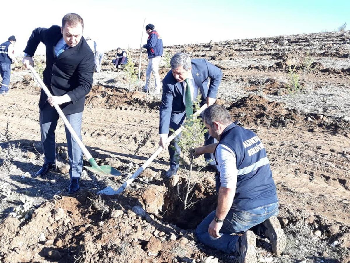 Altıntaş&rsquo;ta fidan dikme etkinliği