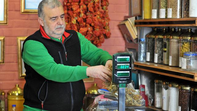 Ihlamurun fiyatı altınla yarışıyor