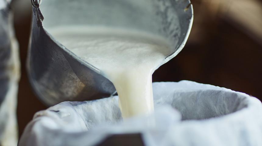 Prof. Dr. Özer Ergün: Süte çamaşır suyu ve tentürdiyot konuluyor