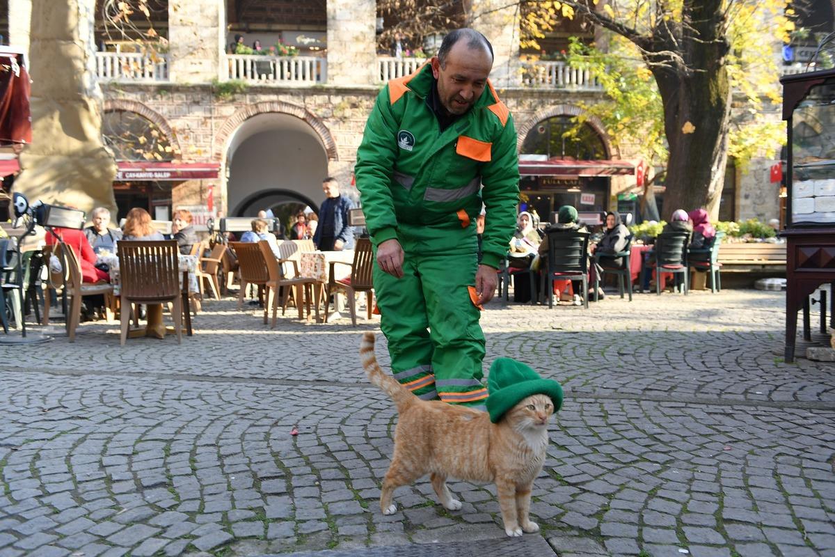 Herkes 'bereli' kediyi konuşuyor! Temizli iş&ccedil;isi Hidayet Sevin&ccedil;'ten a&ccedil;ıklama