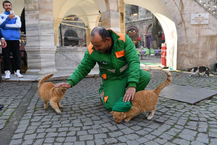 Herkes 'bereli' kediyi konuşuyor! Temizli işçisi Hidayet Sevinç'ten açıklama G3