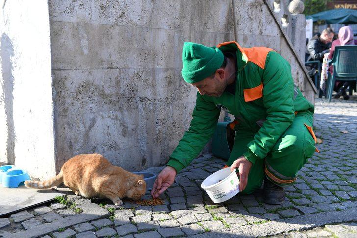 Herkes 'bereli' kediyi konuşuyor! Temizli işçisi Hidayet Sevinç'ten açıklama G4