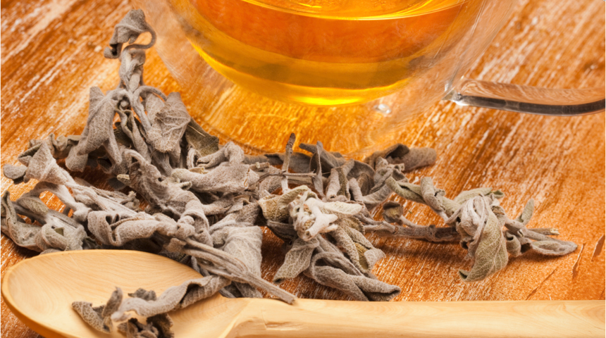 Sağlıklı beyin için erkeklere mate, kadınlara adaçayı tavsiyesi