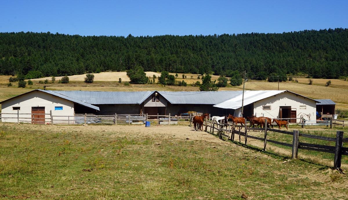 4 bin n&uuml;fusu bulunan bu il&ccedil;e, şampiyon ayakaları yetiştiriyor