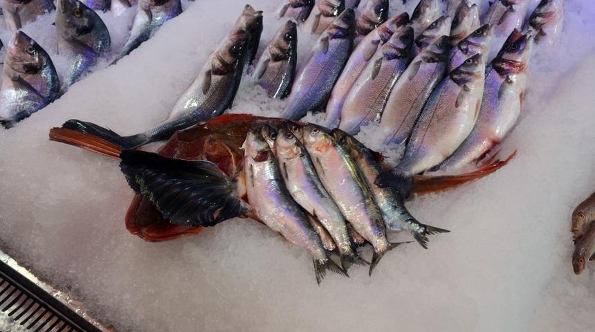 Kırlangı&ccedil; balığı 50 liraya d&uuml;şt&uuml;