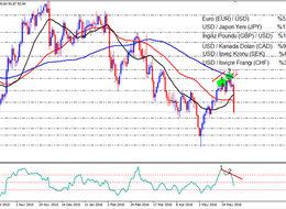 Güvercin FED Geri Geldi !