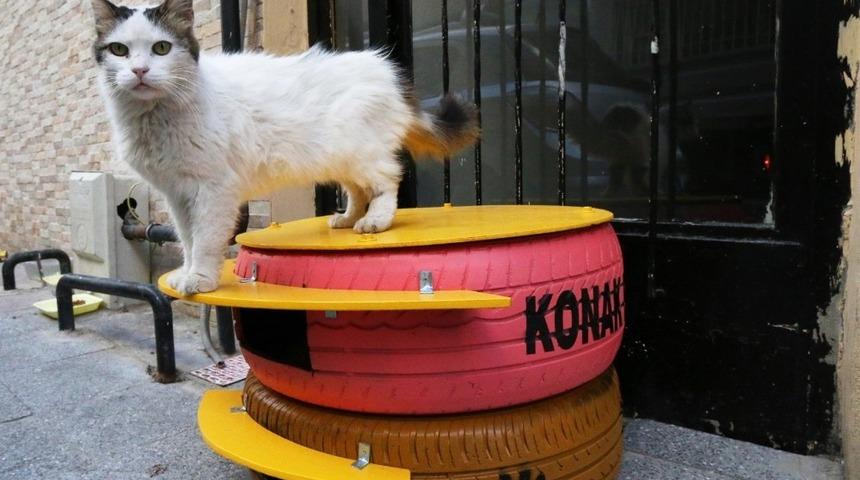 Konak&rsquo;taki kediler bu kış &uuml;ş&uuml;meyecek