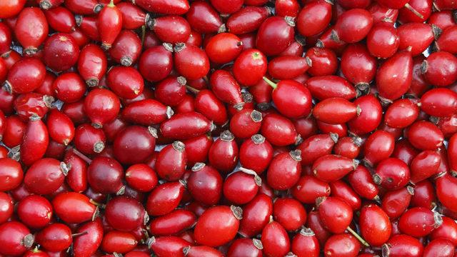 Kuşburnu çayı çok konuşanlar için tavsiye edildi