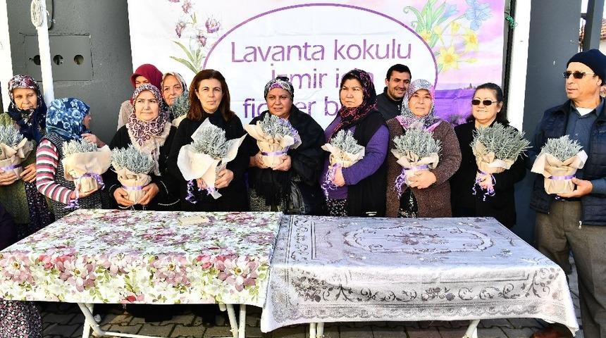 B&uuml;y&uuml;kşehir Doğancılar&rsquo;a 32 bin lavanta fidesi dağıttı