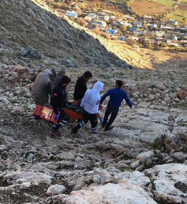 Sağlık ekipleri, dağ başında hastayı 4 kilometre taşıdı