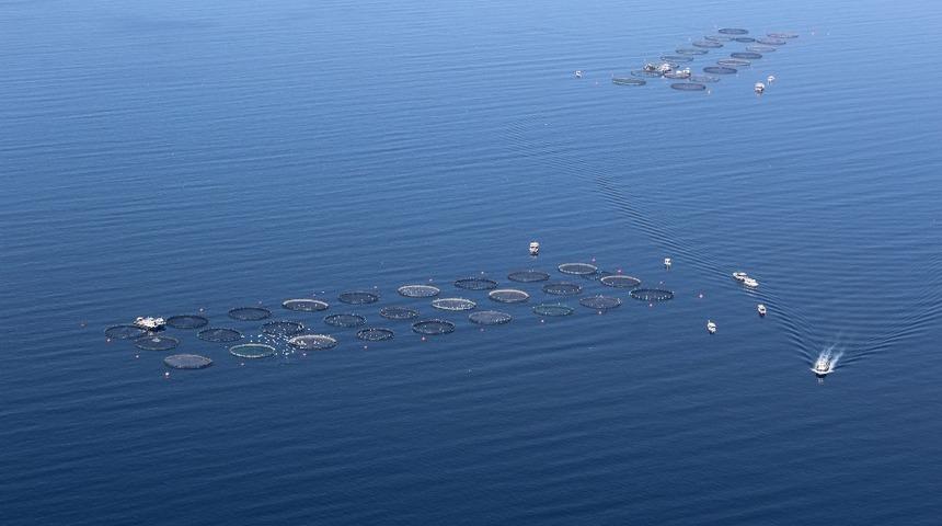 T&uuml;rkiye&rsquo;den 100 &uuml;lkeye ihra&ccedil; yapılıyor