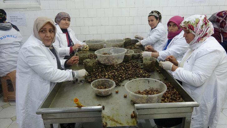 Salyangoz yenir mi? Türk salyangozu Fransız sofralarını süslüyor G1