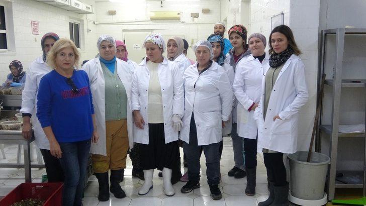 Salyangoz yenir mi? Türk salyangozu Fransız sofralarını süslüyor G5