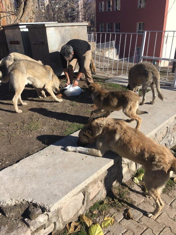 Sokak hayvanlarını gönüllüler besliyor G3