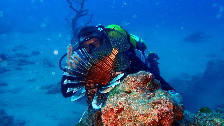 Türk Deniz Araştırmaları Vakfı'ndan 'deniz mağaraları' uyarısı G1
