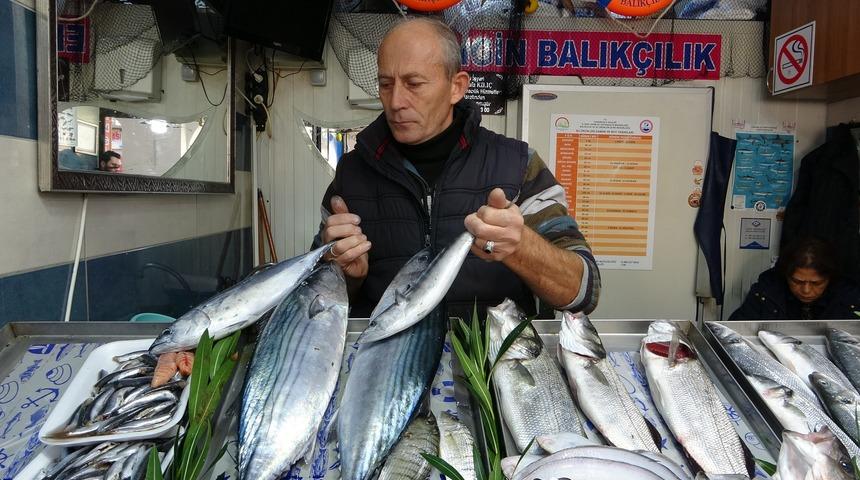 Tombik balığı nedir, tombik balığı nasıl anlaşılır?