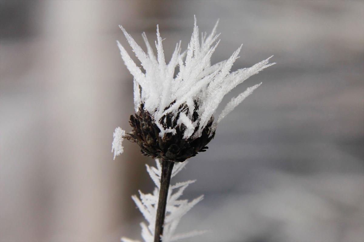 Tunceli'de kırağı kartpostallık g&ouml;r&uuml;nt&uuml;ler oluşturdu