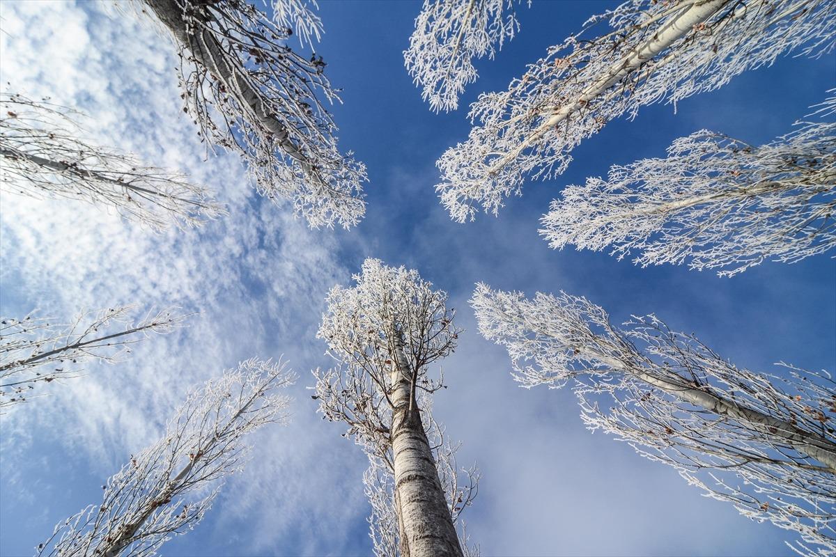 Tunceli'yi bir de kış ayında g&ouml;r&uuml;n!