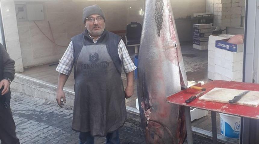 Emet&rsquo;te &rsquo;Dev orkinos&rsquo; g&ouml;renleri şaşırttı