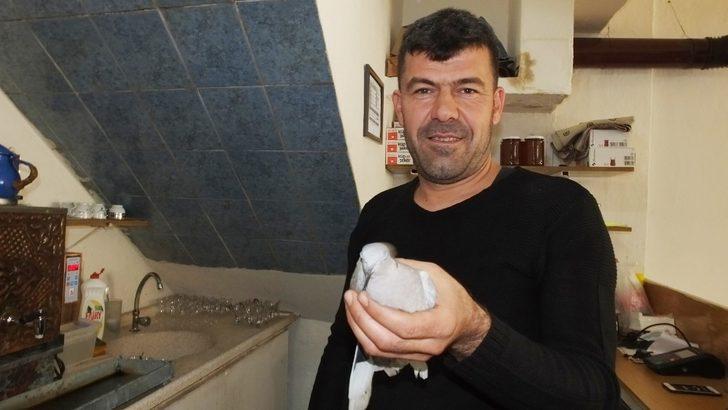 Balıkesir’de kumru yavrusu kahvehanenin maskotu oldu G2