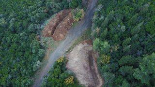 Büyükada'da açılan çukurlar merak konusu oldu