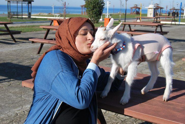 Yavru keçisine bebek gibi bakıyor G2