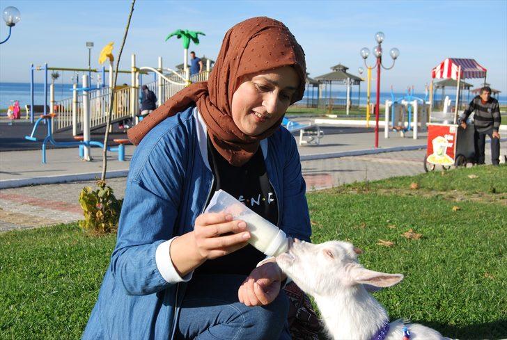 Yavru keçisine bebek gibi bakıyor G3