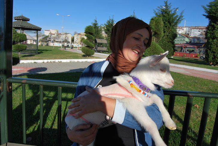 Yavru keçisine bebek gibi bakıyor G5