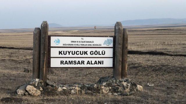 Kuyucuk Gölü Kuş Cenneti kurudu