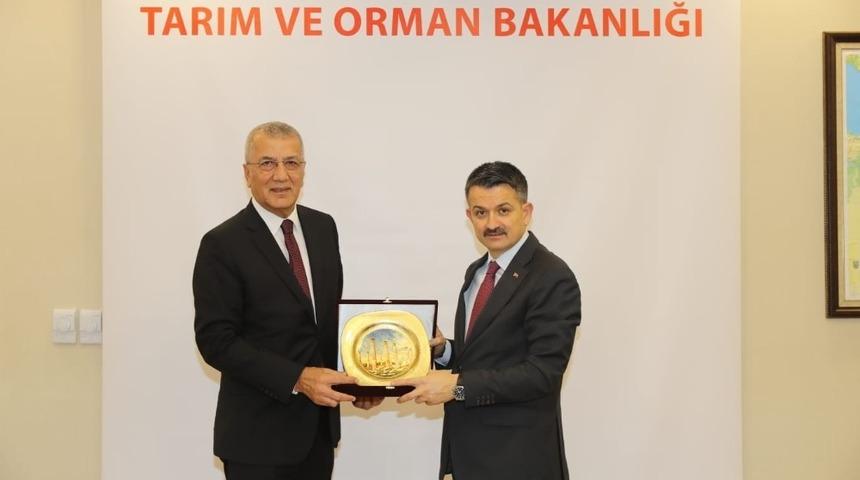 Ankara&rsquo;ya 5 dosyayla giden Tarhan, destek s&ouml;z&uuml;yle d&ouml;nd&uuml;