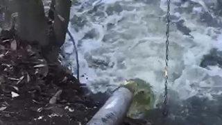 Kocaeli'de kimyasal atıkların dereye boşaltılma anının görüntüleri ortaya çıktı