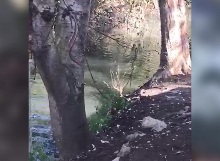 Kocaeli'de kimyasal atıkların dereye boşaltılma anının görüntüleri ortaya çıktı G1