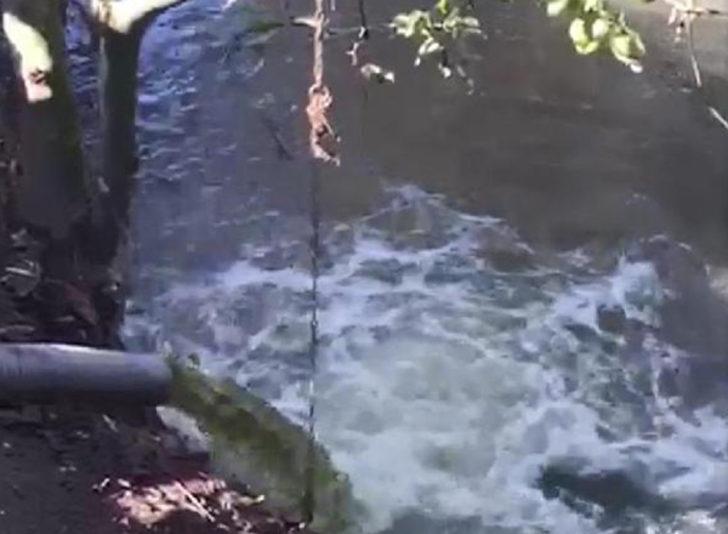 Kocaeli'de kimyasal atıkların dereye boşaltılma anının görüntüleri ortaya çıktı G2