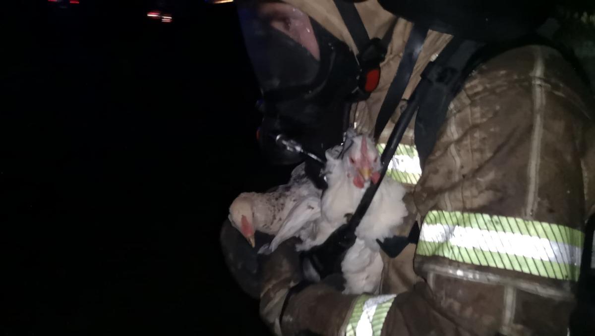 &Ccedil;iftlik evinde korkutan yangın! Tavuklar son anda kurtarıldı