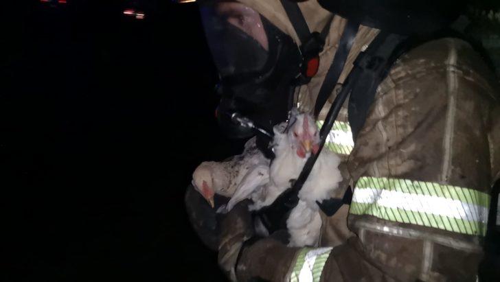 Çiftlik evinde korkutan yangın! Tavuklar son anda kurtarıldı G1