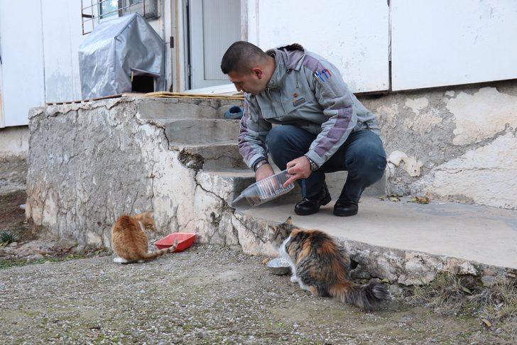Denizli'de vahşet! Beslediği 6 sokak kedisi bir ay içinde öldürüldü G4