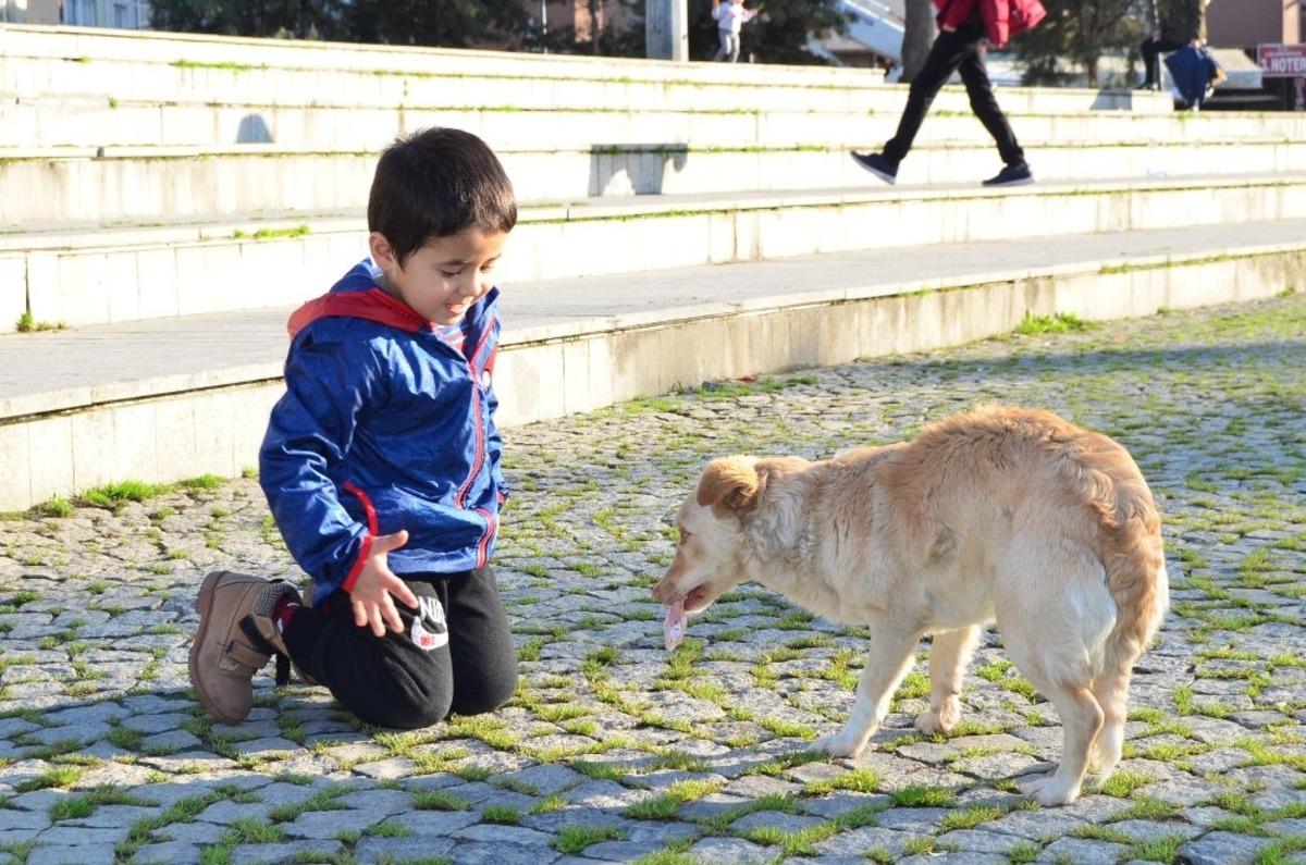Yaşı k&uuml;&ccedil;&uuml;k, sevgisi b&uuml;y&uuml;k