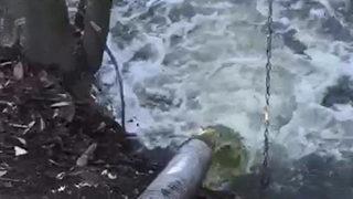 Dilovası'nda kimyasal atıklarını dereye boşaltanlara para cezası! 