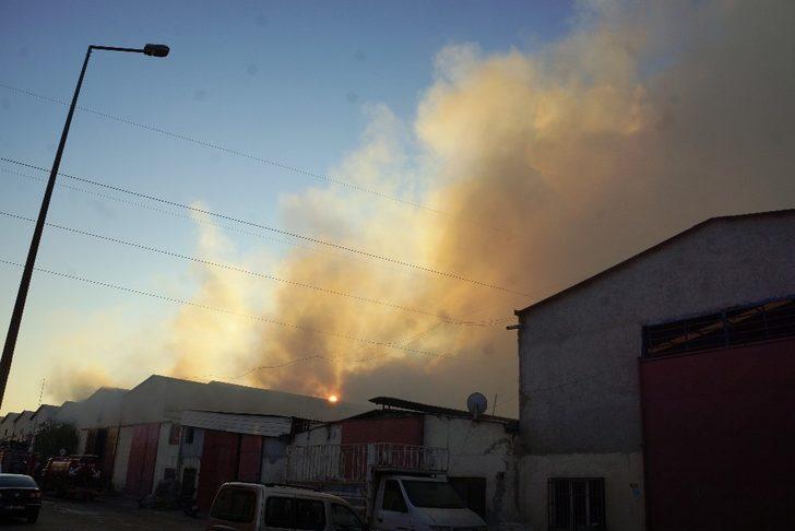 Aydın’da ahşap palet işletmesi alevlere teslim oldu G3