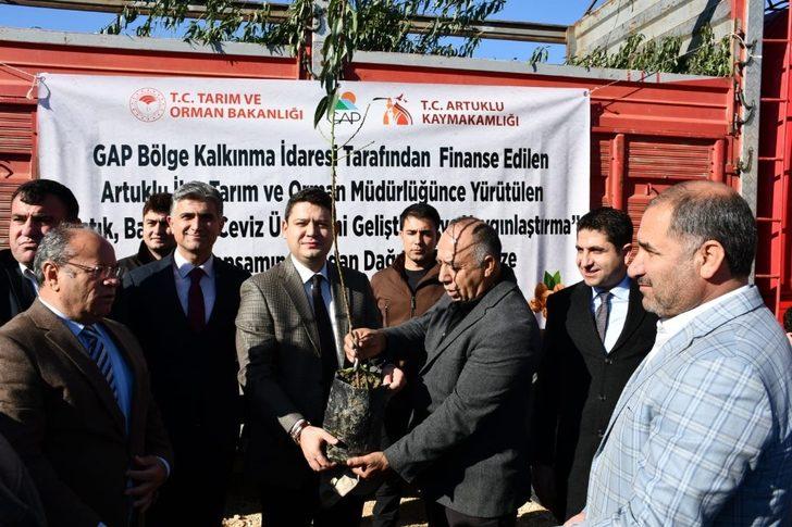 Artuklu’da çiftçiye 46 bin fıstık, badem ve ceviz fidanı dağıtıldı G2