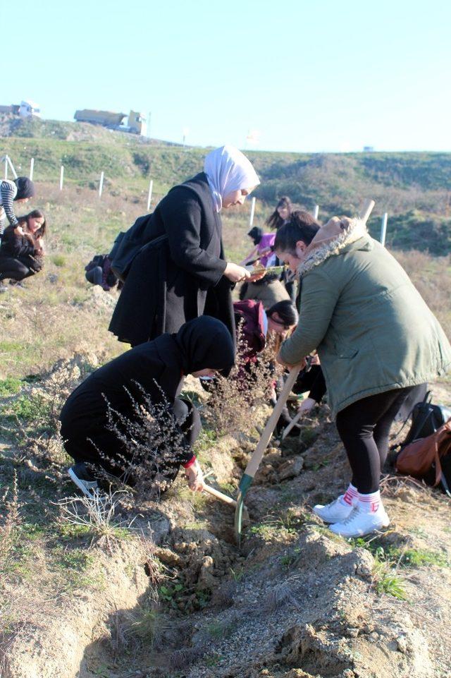 Öğrenciler gelecek için 500 fidanı toprakla buluşturdu