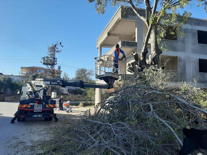 Manavgat’ta tehlike oluşturan ağaçlar budandı G2