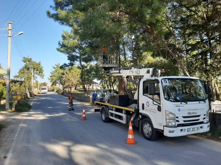 Manavgat’ta tehlike oluşturan ağaçlar budandı G3