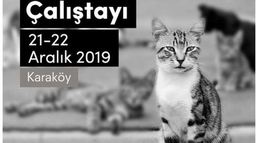 Kale Tasarım ve Sanat Merkezi’nde sokak kedileri için Kedi Evi Çalıştayı